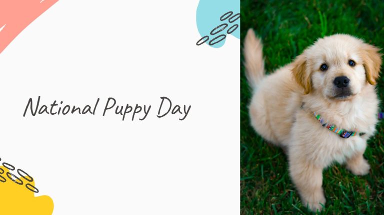 It’s Here – Celebrating National Puppy Day